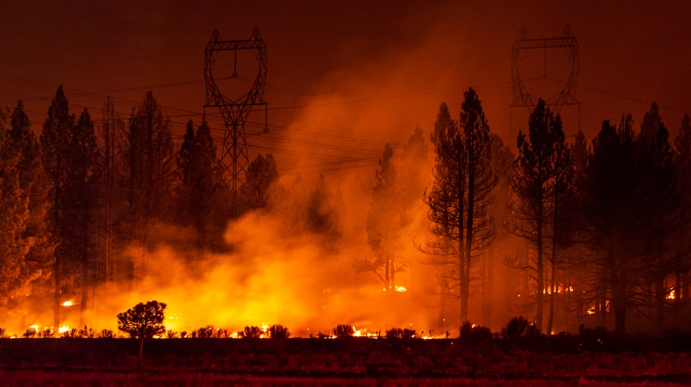 Smoke rises from forest fire